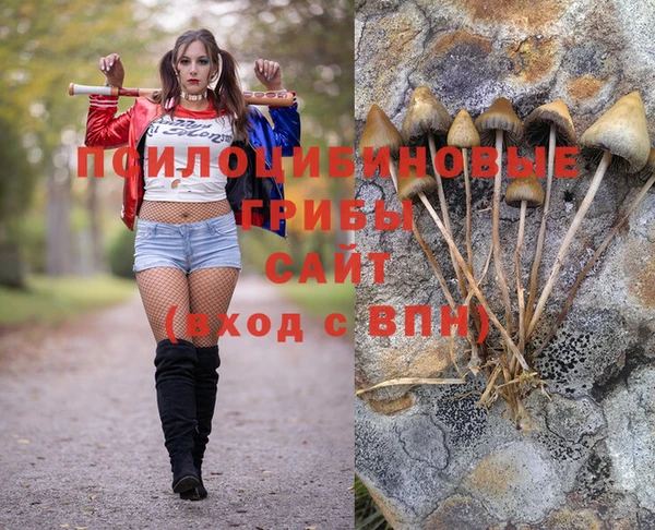 PSILOCYBIN Волоколамск